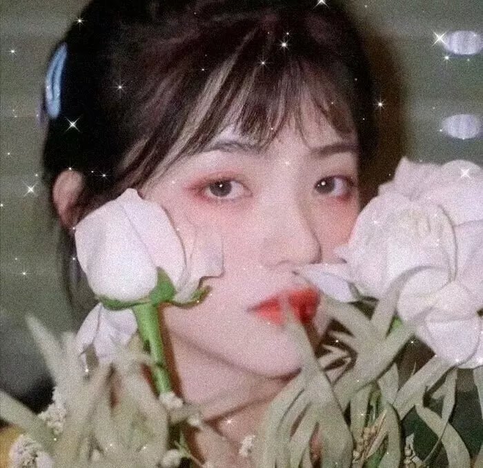 同心兄弟